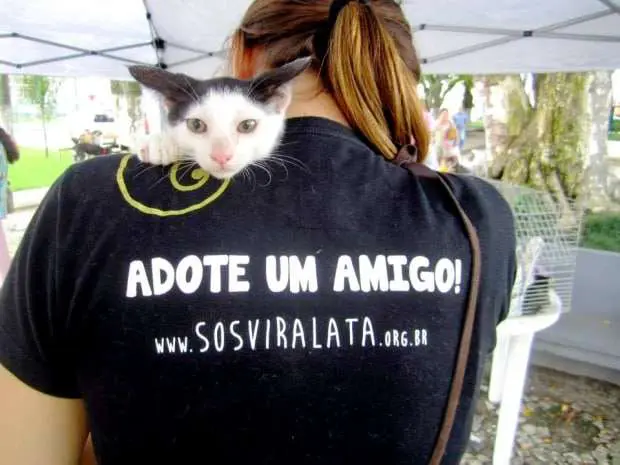 ONG SOS Vira-Lata promove 100ª Feira de Adoção