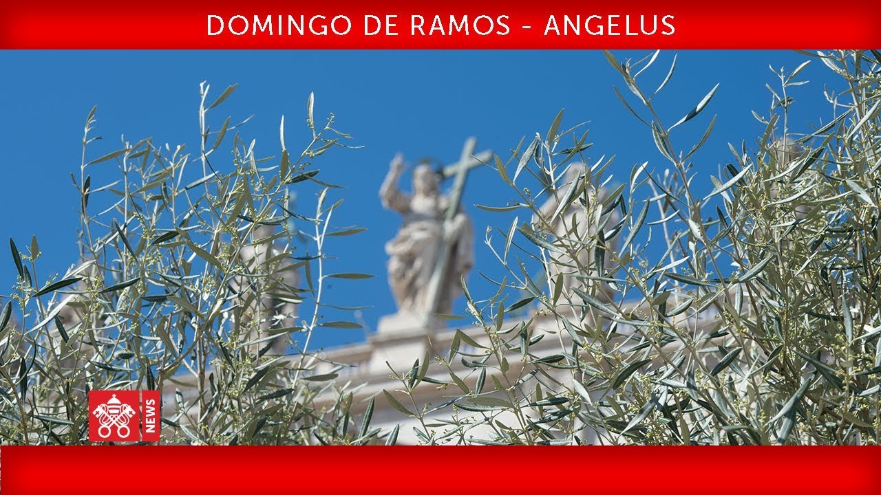 Papa Francisco - Celebração do Domingo de Ramos - Oração do Angelus 2019-04-14