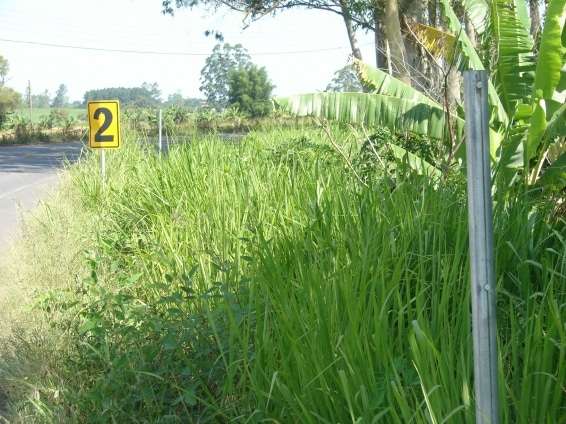 Sinalização de trânsito em discussão na Câmara de Nova Veneza