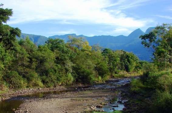 Governo obriga replantio de mata nativa nas áreas de preservação ao longo dos rios