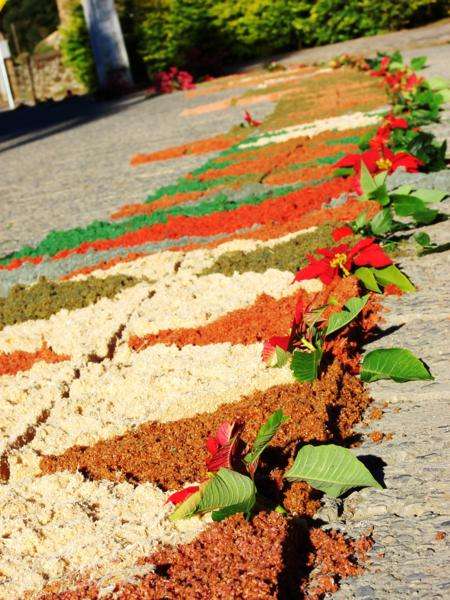 Confira as fotos do Corpus Christi em Nova Veneza – Paróquia São Marcos