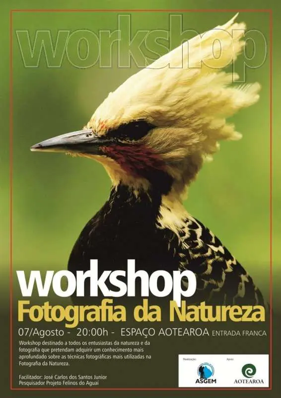 Workshop Fotografia da Natureza