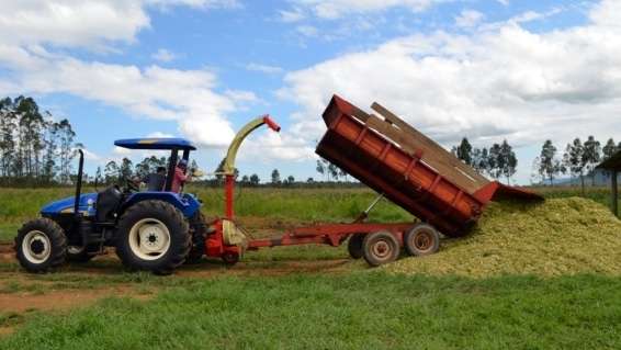 Agricultores recebem apoio do Executivo para silagem