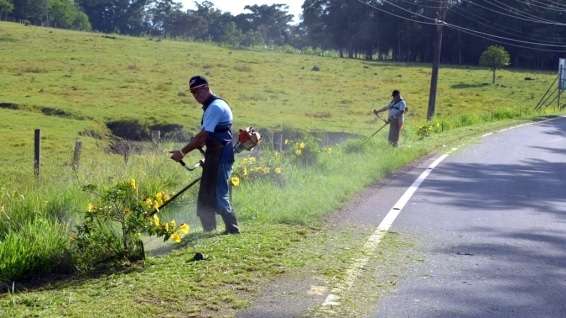 Prefeitura de Nova Veneza realiza roçagem na SC-447