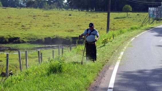 Prefeitura de Nova Veneza realiza roçagem na SC-447