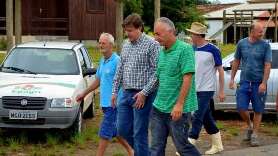 Evandro Gava e Zé Spilere acompanham experimentos sobre arroz irrigado