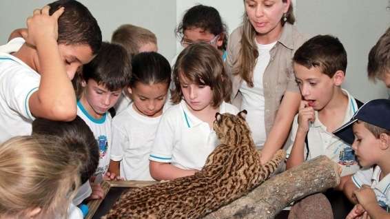 Alunos da rede municipal de Nova Veneza visitam Centro de Educação Ambiental do Instituto Felinos do Aguaí 1 Alunos da rede municipal de Nova Veneza visitam Centro de Educação Ambiental do Instituto Felinos do Aguaí