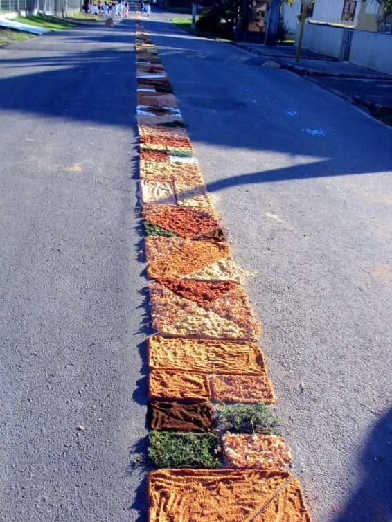 Movidos pela fé cristãos comemoram Corpus Christi no Bairro Bortolotto 3 Movidos pela fé cristãos comemoram Corpus Christi no Bairro Bortolotto