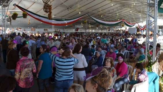 Animação para mais de 1,5 mil idosos na 9ª Festa da Gastronomia