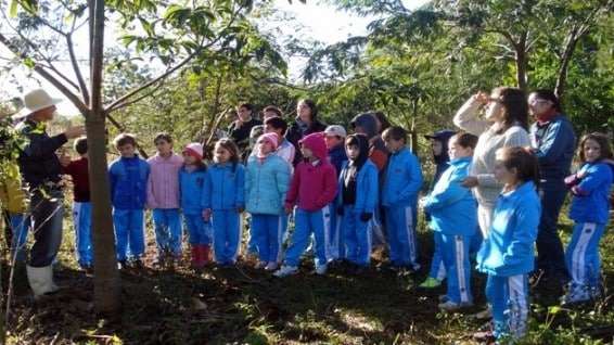 Estudantes participam de Semana do Meio Ambiente em Nova Veneza 1 Estudantes participam de Semana do Meio Ambiente em Nova Veneza