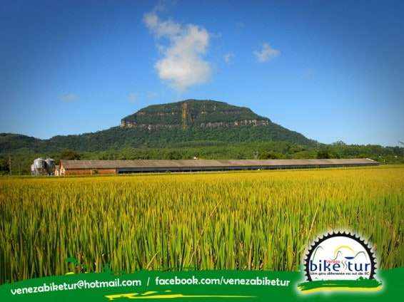 Acontece neste domingo o Maraton Nova Veneza