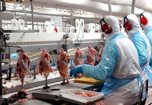 JBS prevê receita de R$ 12 bi em divisão criada para abrigar Seara e Agrovêneto 1 JBS prevê receita de R$ 12 bi em divisão criada para abrigar Seara e Agrovêneto