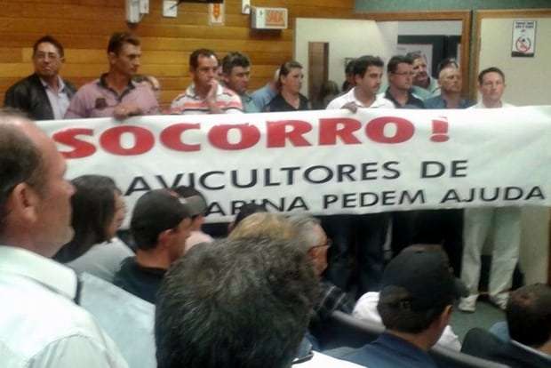 Vereadores de Nova Veneza vão a Florianópolis em encontro entre avicultores e JBS 1 Vereadores de Nova Veneza vão a Florianópolis em encontro entre avicultores e JBS