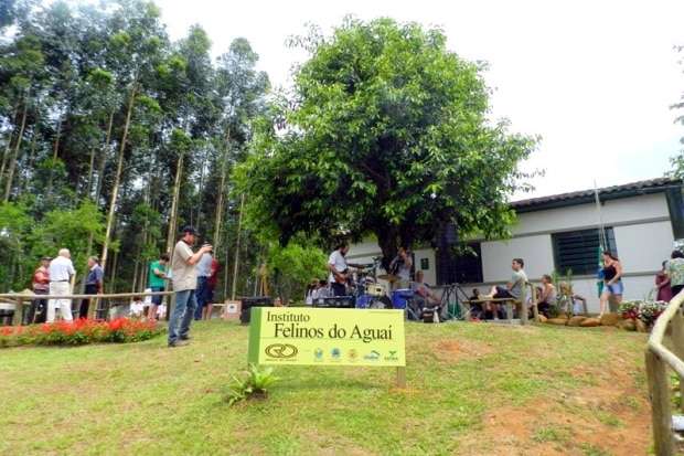 Felinos do Aguaí convida escolas para visitar o Centro de Educação Ambiental