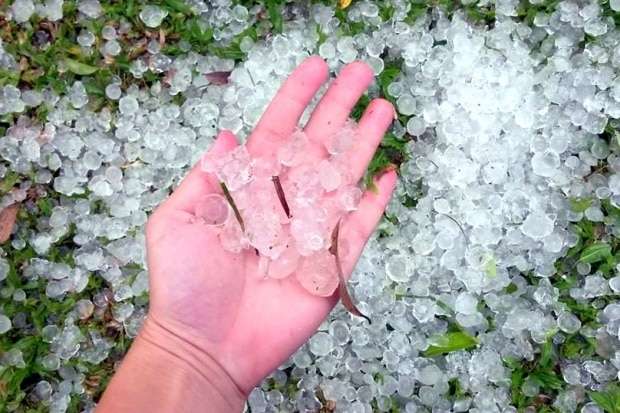 Chuva de granizo atinge lavouras em São Bento Alto, em Nova Veneza