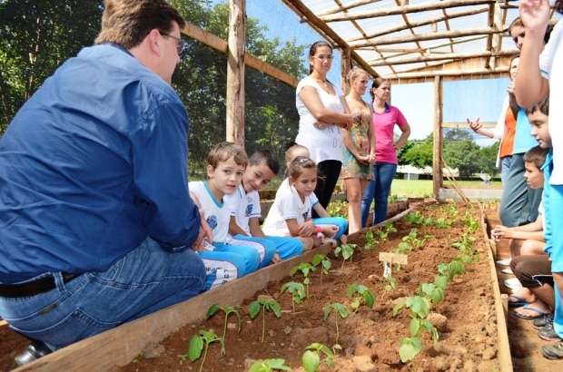 Nova Veneza inova com horta comunitária entre comunidade e escola