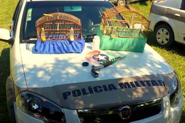 Jovens são presos com arma, munições e drogas em Rio Cedro Alto 1 Jovens são presos com arma, munições e drogas em Rio Cedro Alto