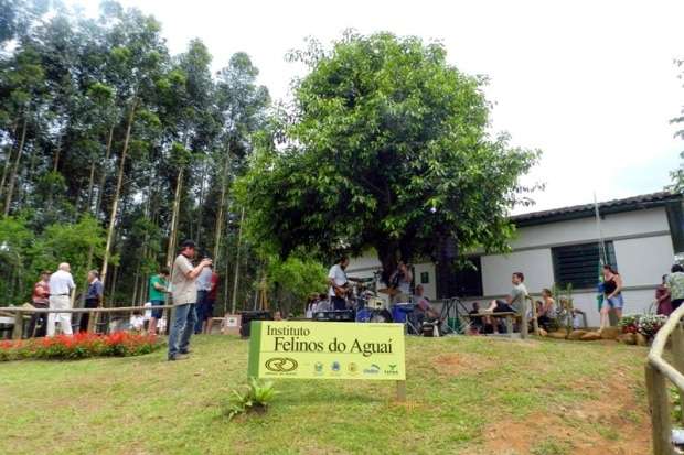 Felinos do Aguaí prepara vasta programação para a Semana do Meio Ambiente 1 Felinos do Aguaí prepara vasta programação para a Semana do Meio Ambiente