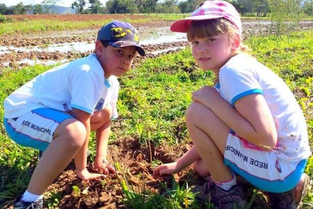 Escolas de Nova Veneza engajadas em projetos sustentáveis