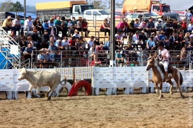 Confira as fotos do XV Rodeio Crioulo Nacional em Nova Veneza