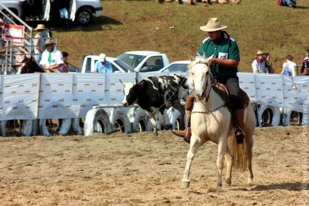 Confira as fotos do XV Rodeio Crioulo Nacional em Nova Veneza