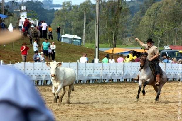 Confira as fotos do XV Rodeio Crioulo Nacional em Nova Veneza