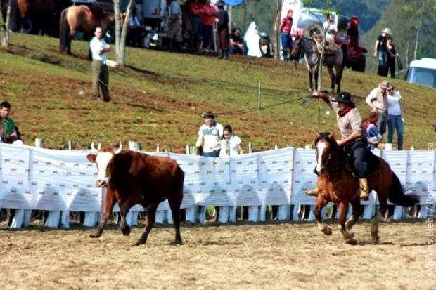 Confira as fotos do XV Rodeio Crioulo Nacional em Nova Veneza