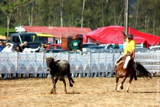Confira as fotos do XV Rodeio Crioulo Nacional em Nova Veneza
