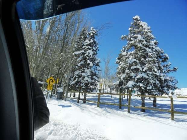 Marcelo Branco: Confraria Pan & Vin visita vinícolas chilenas 4 Marcelo Branco: Confraria Pan & Vin visita vinícolas chilenas