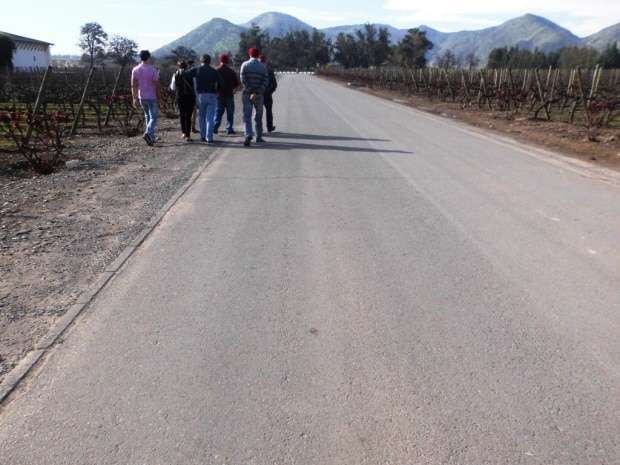 Marcelo Branco: Confraria Pan & Vin visita vinícolas chilenas 25 Marcelo Branco: Confraria Pan & Vin visita vinícolas chilenas
