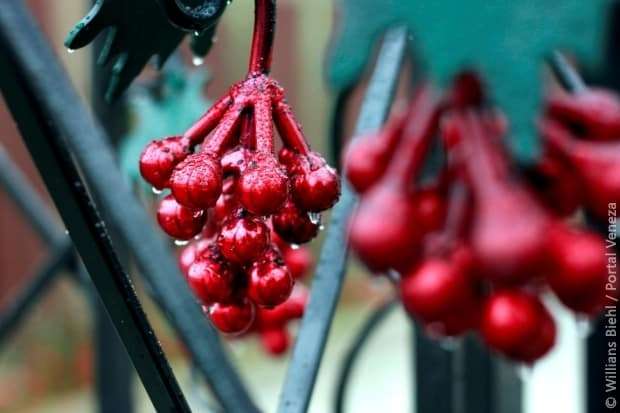 Nova Veneza ganha espaço exclusivo para estudo e degustação de vinhos finos