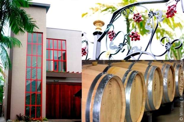 Nova Veneza ganha espaço exclusivo para estudo e degustação de vinhos finos 1 Nova Veneza ganha espaço exclusivo para estudo e degustação de vinhos finos