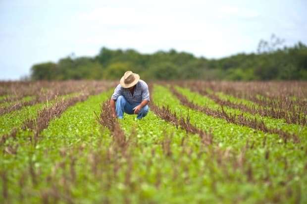 Prefeitura oferece curso gratuito para produtor rural