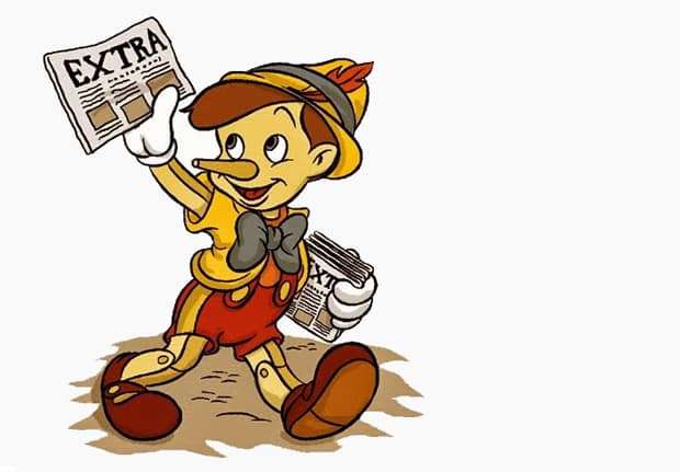 Falsa informação sobre lei de controle de reprodução de cães e gatos gera confusão em Nova Veneza