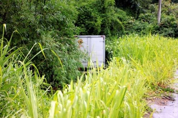 Caminhão sai da pista depois de motorista perder o controle da direção