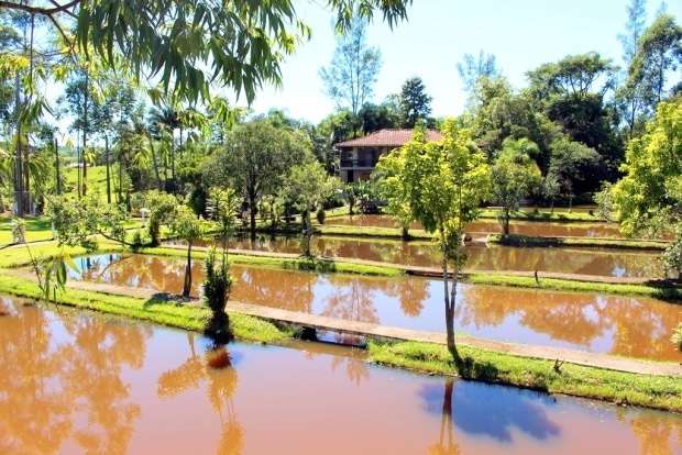 Nova Veneza tem parceria com centro de recuperação para trabalhos gerais