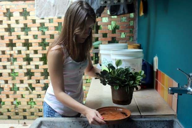 Secretaria de Saúde intensifica ação contra Dengue em Nova Veneza 2 Secretaria de Saúde intensifica ação contra Dengue em Nova Veneza