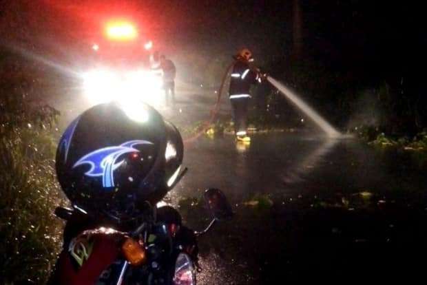 Motociclista se fere ao colidir em árvore caída na SC-446