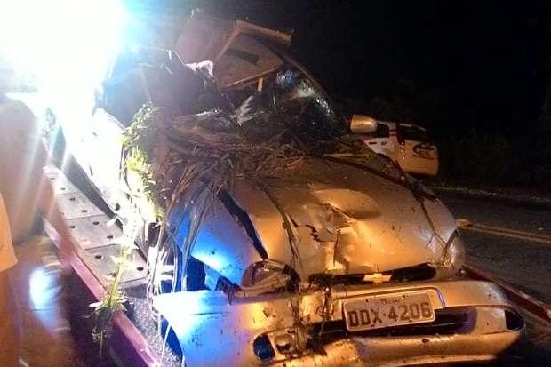 Mais um jovem perde a vida na SC-446 em Nova Veneza