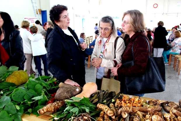 Plantas medicinais são alternativa no combate a doenças