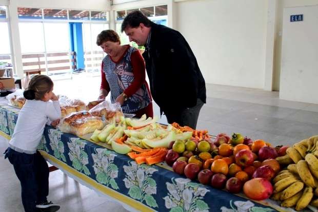 Plantas medicinais são alternativa no combate a doenças