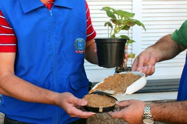 Combate à dengue em Nova Veneza é reforçado