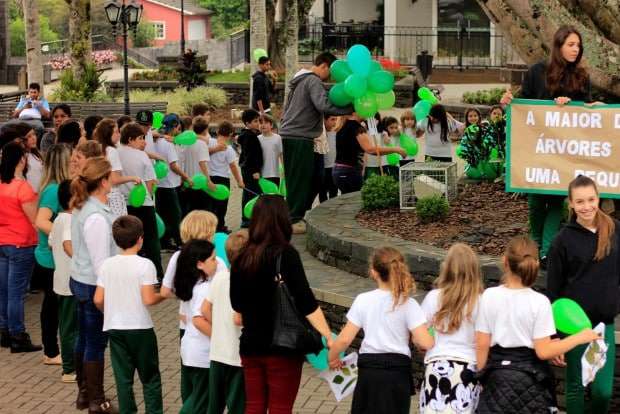 Em comemoração ao Dia da Árvore, alunos “abraçam” figueira da praça