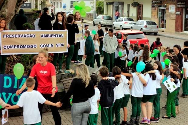Em comemoração ao Dia da Árvore, alunos “abraçam” figueira da praça 1 Em comemoração ao Dia da Árvore, alunos “abraçam” figueira da praça