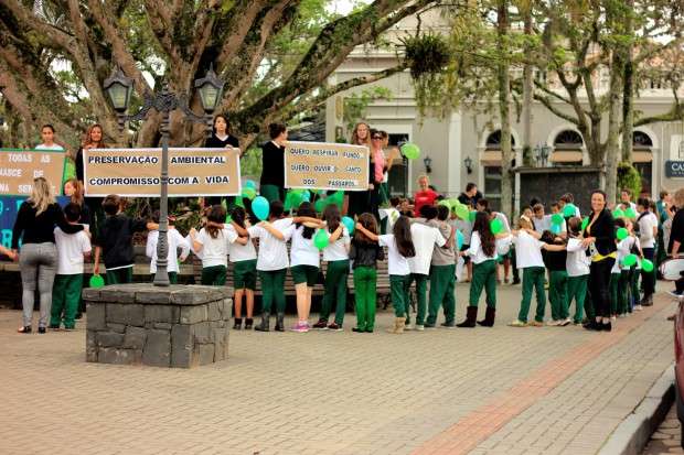 Em comemoração ao Dia da Árvore, alunos “abraçam” figueira da praça