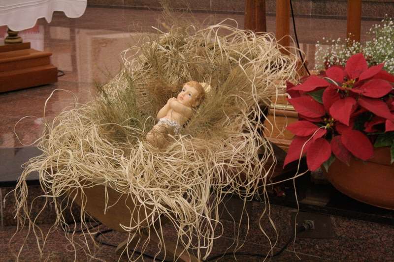 Porta Santa é aberta também na Catedral São José