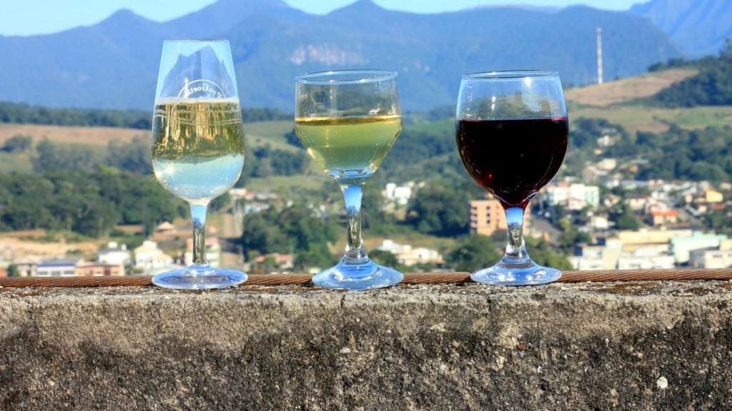 Nova Veneza oferece curso gratuito de produção de vinhos 1 Nova Veneza oferece curso gratuito de produção de vinhos