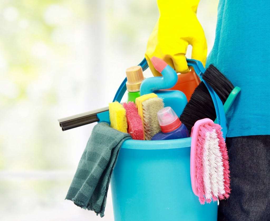 Direitos dos empregados domésticos 1 Direitos dos empregados domésticos