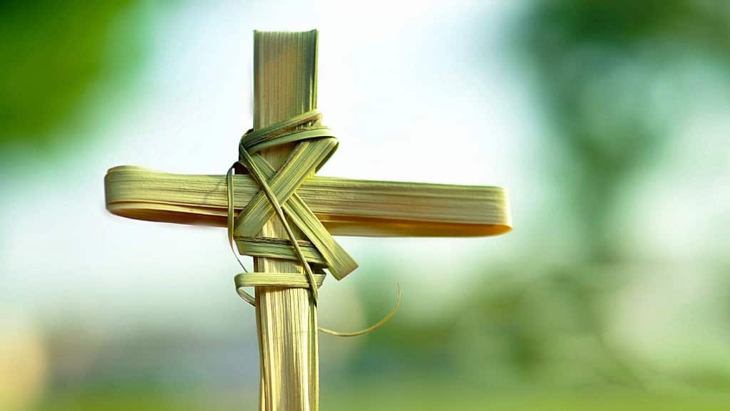Bênçãos dos Ramos marca início da Semana Santa para os católicos 1 Bênçãos dos Ramos marca início da Semana Santa para os católicos