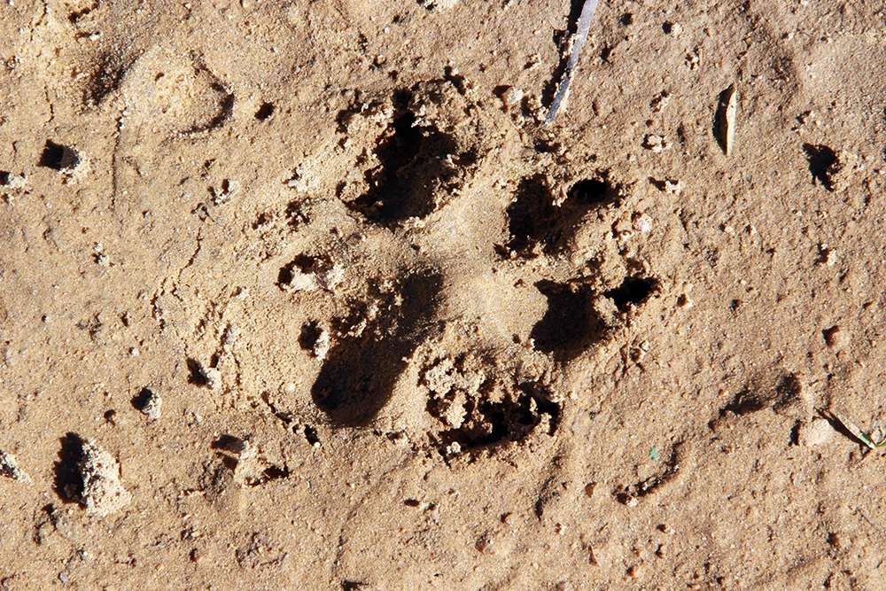 Atenção motoristas: DNIT/SC alerta para trabalhos na BR-101, em Jaguaruna 3 Atenção motoristas: DNIT/SC alerta para trabalhos na BR-101, em Jaguaruna